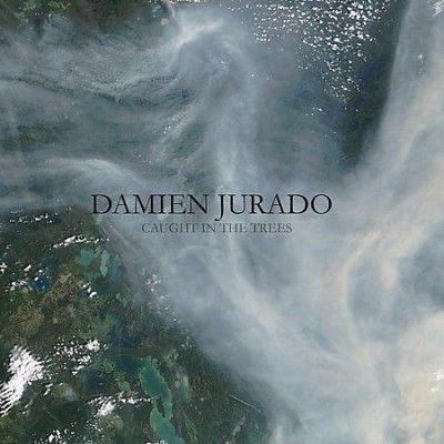 Damien Jurado - Caught In The Trees (Vinyl)