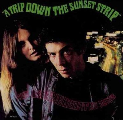 Leathercoated Minds - Trip Down The Sunset Strip (Vinyl)