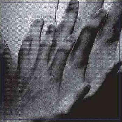 Painted Caves - Surveillance (Vinyl)