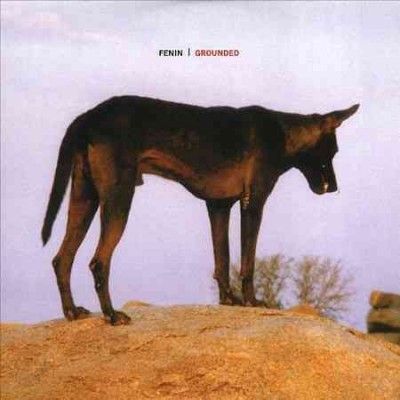 Fenin - Grounded (Vinyl)
