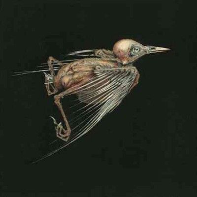 Jenny Hval - Meshes Of Voice (Vinyl)