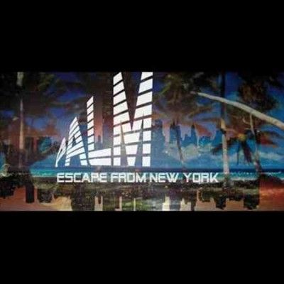 Palm Highway Chase - Escape From New York (Vinyl)