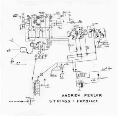 Andrew Pekler - Strings Plus Feedback (Vinyl)