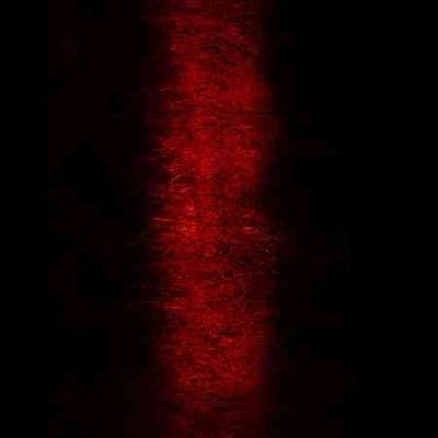 Paul Jebanasam - Rites (Vinyl)