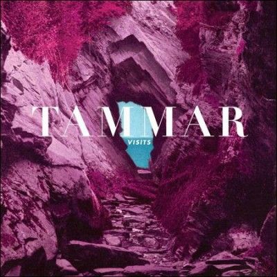 Tammar - Visits (Vinyl)