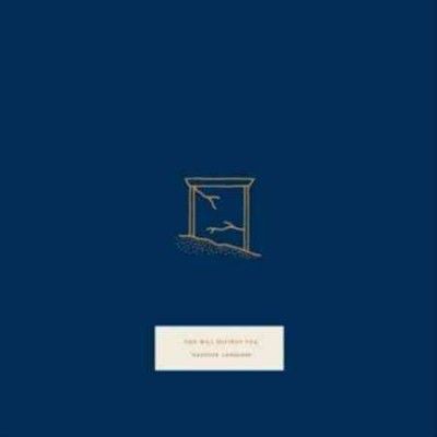 This Will Destroy Yo - Another Language (Vinyl)