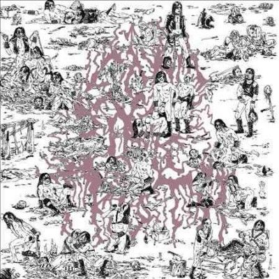 Soft Pink Truth - Why Do The Heathen Rage (Vinyl)