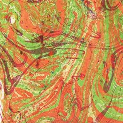 Dan Friel - Life (Vinyl)