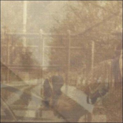 Ezekiel Honig - Folding In On Itself (Vinyl)