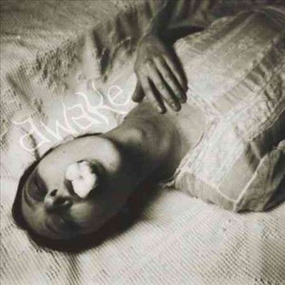 Mike Shiflet - Awake (Vinyl)