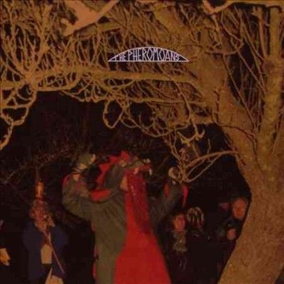 Pheromoans - Does This Guy Stack Up (Vinyl)