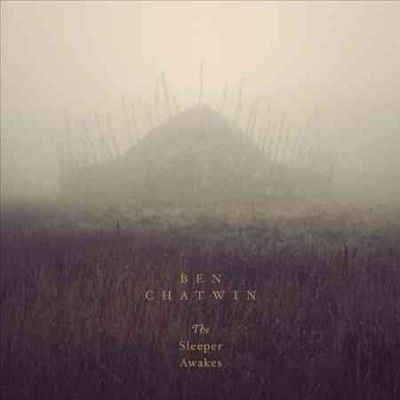 The Sleeper Awakes (Vinyl / 12" Album)