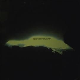 Hopkins Bradley - Nothing Hides Better Than Darkness (Vinyl)