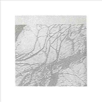 Thought Broadcast - Votive Zero (Vinyl)