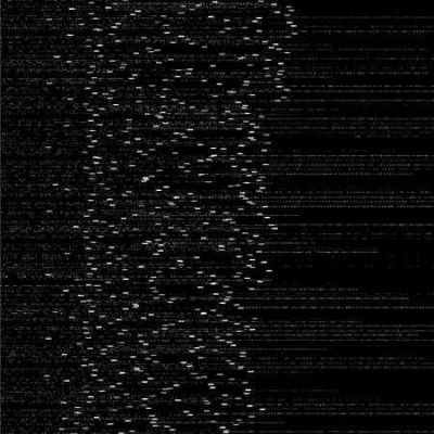 Application - System Fork (Vinyl)