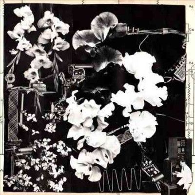 Ergo Phizmiz - Two Quartets (Vinyl)