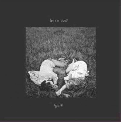 Wild Cub - Youth (Vinyl)