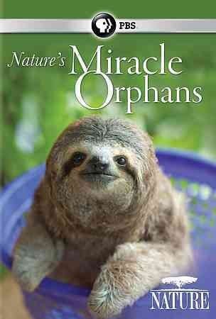 Nature:Nature's Miracle Orphans - (Region 1 Import DVD)