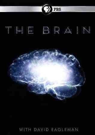 Brain with David Eagleman - (Region 1 Import DVD)