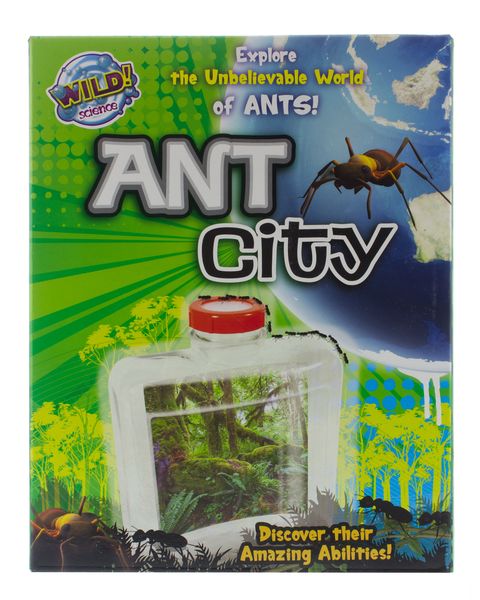 Wild Science Ant City