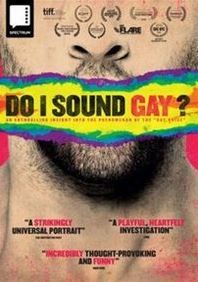 Do I Sound Gay?(DVD) Image