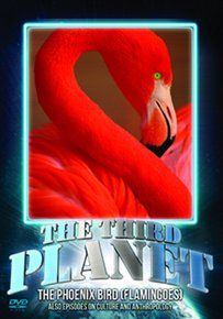 Third Planet: The Phoenix Bird (Flamingoes)(DVD)