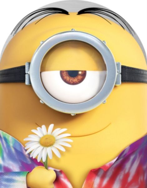 Minions(DVD)