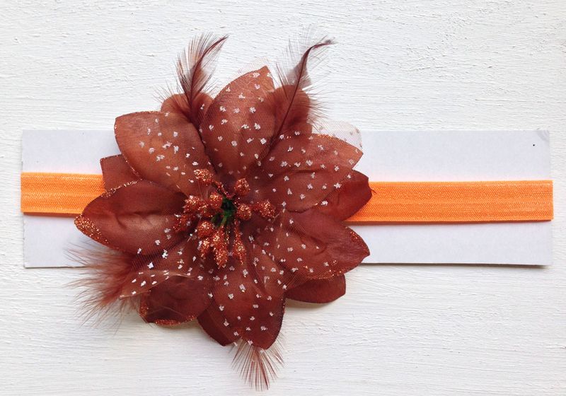 Orange &amp; Brown image