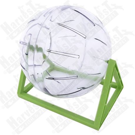 rabbit exercise ball