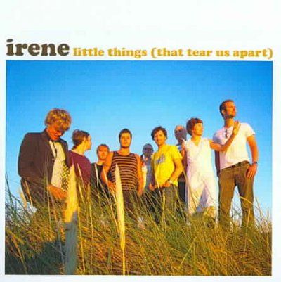 Irene - Little Things (that Tear Us Apart) (CD)