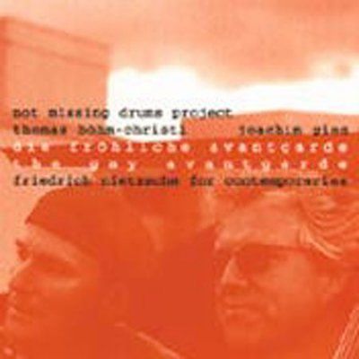 Not Missing Drums - Gay Advantgarde (CD)