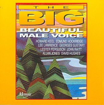 Various - Big Beautiful Male Voice (CD)