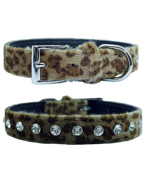 Doggie Hillfigher - Faux Leopard Skin Collar - Extra-Small