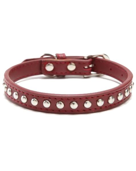 Doggie Hillfigher - Leather Stud Collar - Maroon- Small