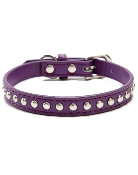 Doggie Hillfigher - Leather Stud Collar - Purple - Small
