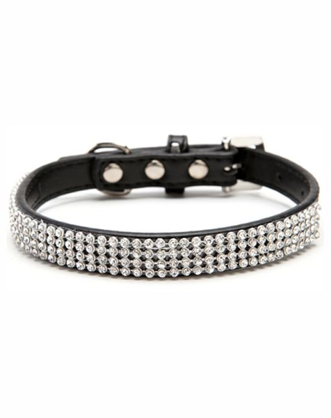 Doggie Hillfigher - Park Avenue Collar - Black - Small