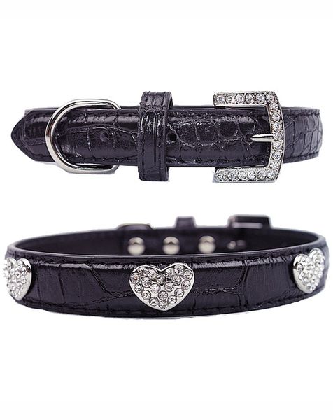 Doggie Hillfigher - Tiffany Collar - Extra-Small