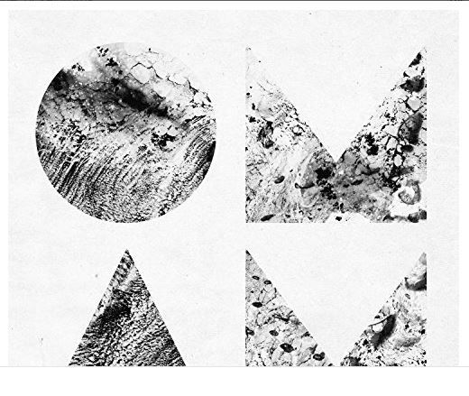 Beneath The Skin (CD)