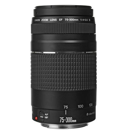 Canon Ef 75 300mm F4 0 5 6 Iii Lens Buy Online In South Africa Takealot Com