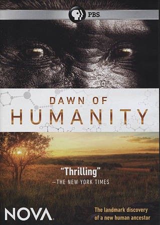 Nova: Dawn Of Humanity (DVD)