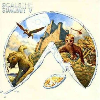 Scale The Summit - V (Vinyl)