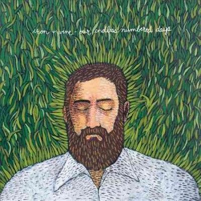 Iron &amp; Wine - Our Endless Numbered Days (Vinyl)