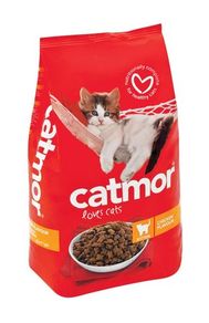 catmor kitten 2 in 1