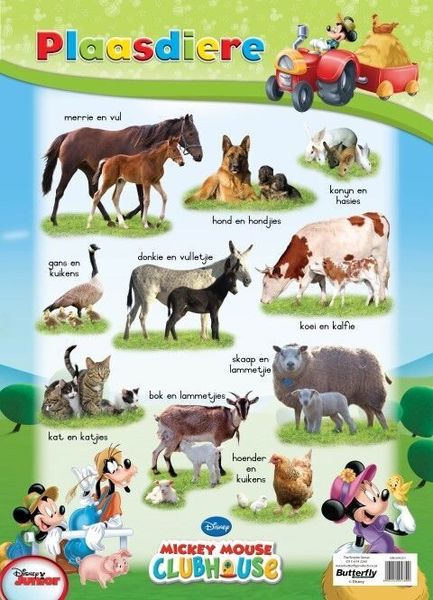 Butterfly Wallchart - Mickey Mouse Plaas Diere
