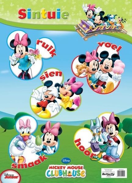 Butterfly Wallchart - Mickey Mouse Sintuie