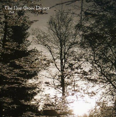 New Groove Project - Brill (CD)