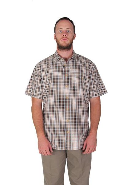 Brown image