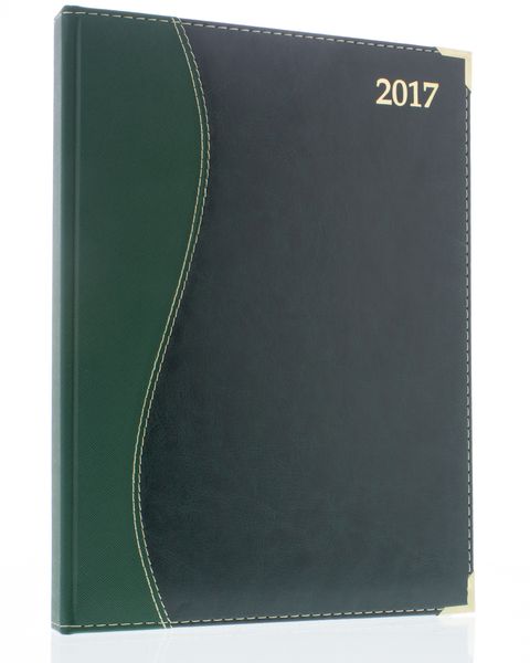 CTP 2017 Executive S-Stitch A4 Page-A-Day Padded Cover Diary - Green