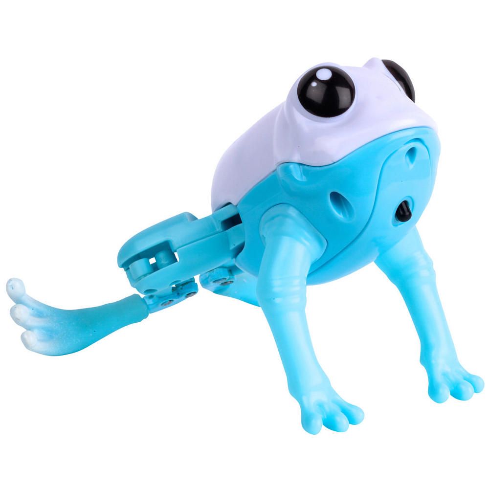 Little Live Pets Frog Chillow Buy Online in South Africa