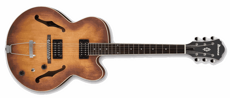 Ibanez Artcore Guitar